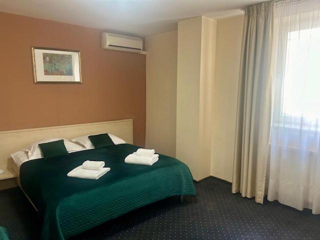 Hotel Pacific ティミショアラ エクステリア 写真
